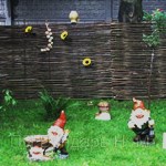 ������������ ���������� ��� ������ ������� �� ����� ���