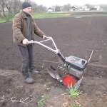 ��� �������� �������� ���� �������������?