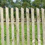 ��� � ������������  �����  ����� 1