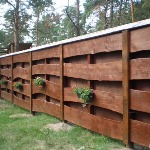 ����� �� �� �������� �����