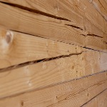 ��� �� �����  � ������ � �����������