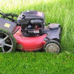 ������� ��� ������