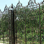 ������������� ������