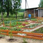 ���������� �������