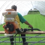 ����������� ����� ��� ���������