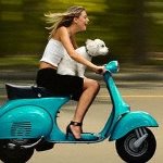 ����� �� ������ �� ���������� �������?