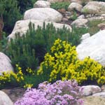 ����� ������ ��� ����������