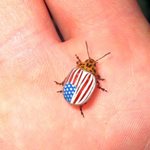 ������� ������ � ����������� �����