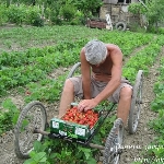 ���� �������� �� �������