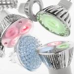 ������������ ��������� ����� ����  ����� � ������