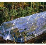 ĸ���� � ������� � �������� ������ ������� ��� ��������?