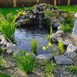 ���� �� ��������