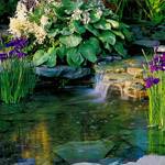 ���� �������� ��� ������� � �� �������