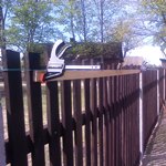 ��������� ����� ����������� ����������