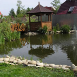 ���� �� �������