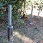 ���� �������� ������ ��������