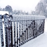 ��� � ������������  �����  ����� 5