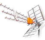 ��������� ������������� ������� � ������ � ����� ��������� �����������