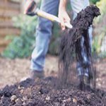 ���������� ������� ��� �����. ����� �����