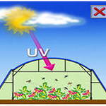 ���������������� ������ ��� ������