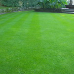 ������ �������� ����� � ������ ������!