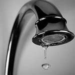 ������ ���������