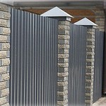 ������ ������