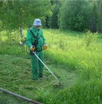 �������  ��������� � ���� � ��� �������