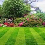 ���� �������. ����� ���� ��� �������