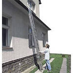 �������� �����������, ����������