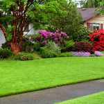 ����� �� �������