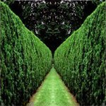 ����� ��������