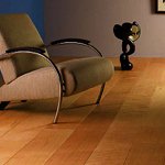 ������������ ��������� ����