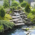 ��������� ��� �������