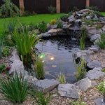 ��������� �������. �������������������