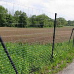 ���������  ����� ��� ����������