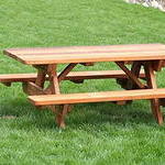 ������ ����  ��� ����������� ����