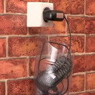 �������, ��� �������, �������� �� �������