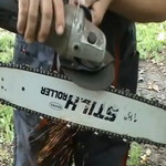 ����� ������ ���� ���������