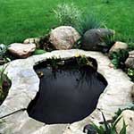 ���������� �������