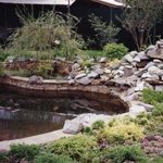 ������������ ������